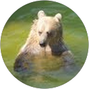 Marika Lindroos profile picture