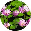 muhammad waqas profile picture